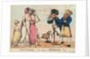 Nautical Observations on Female Dress by J. Sidebotham