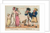 Nautical Observations on Female Dress by J. Sidebotham