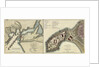 Plan of the attack made on Geriah Fort by Rear Admiral Watson, 13 February 1756 by T. Jefferys