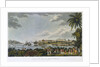NE view of Fort Louis in the island of Martinique, 5 February - 22 March 1794 by C. Willyams