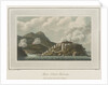 Pigeon Island, Martinique by C. Willyams