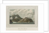 Pigeon Island, Martinique by C. Willyams