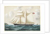 Spin Away of Fowey at sea by Reuben Chappell