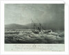 The loss of the steam ship 'Hope' steam ship on the south eastern coast of Africa by William John Huggins
