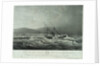 The loss of the steam ship 'Hope' steam ship on the south eastern coast of Africa by William John Huggins