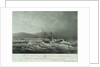 The loss of the steam ship 'Hope' steam ship on the south eastern coast of Africa by William John Huggins