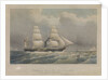 The RSMP 'Trent' dedicated to the Royal Mail Steamship Company by.... W Jeffreson by W. Jeffreson