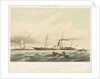 The iron steam ship 'Victoria' by Thomas Sewell Robins