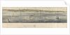 Ogdensburg, N.Y. 1857 by Henry P. Moore [artist]; L H Bradford & Co [engravers]