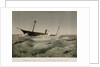 The stranding of the 'Anglo Saxon' by F. Sala & Co