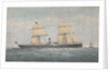 Steamer of the Stag? Line Joseph Robinson by unknown