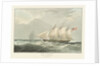 Captain Burn's yacht 'Calypso' by William John Huggins