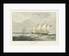 Captain Burn's yacht 'Calypso' by William John Huggins