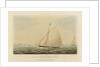 'Blue Belle' iron cutter yacht by J. Rogers