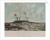 Steam yacht 'Ross Winans' (cigar ship) by Thomas Goldsworth Dutton