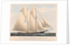 The Yacht Countess of Dufferin, of the Royal Canadian Yacht Club. by Currier & Ives