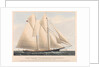 The Yacht Countess of Dufferin, of the Royal Canadian Yacht Club. by Currier & Ives