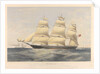 Clipper ship 'Cinderella' by Thomas Goldsworth Dutton