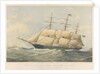 'Silver Eagle' (1861) clipper ship, 1046 Tons by Thomas Goldsworth Dutton