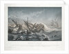 Shipwreck of the 'Astrolabe' on the reefs of the Island of Vanikoro by Louis Le Breton