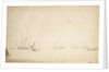 Dutch ships at anchor in an estuary by Willem Van de Velde the Younger