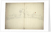 Decoration for a taffrail by Willem Van de Velde the Younger