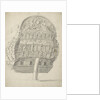 Stern of an English first or second rate by Willem van de Velde the Elder