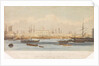 The Blackwall railway terminus & Brunswick pier with the Brunswick propeller & other steam vessels by W. Ranwell
