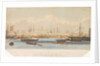 The Blackwall railway terminus & Brunswick pier with the Brunswick propeller & other steam vessels by W. Ranwell