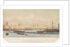 The Blackwall railway terminus & Brunswick pier with the Brunswick propeller & other steam vessels by W. Ranwell