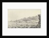 View of Bastia, Corsica by unknown