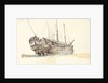 Man-of-war by unknown