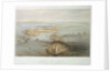 View of Cadiz by A. Guesdon
