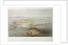 View of Cadiz by A. Guesdon