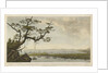 A view of part of the island of Martinique, Pigeon Island, Gros Islet Bay, Shaque Bay & part of Careenage Bay, St Lucia by Charles Forrest Forrest