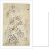 Drawing for the west wall of the Painted Hall by James Thornhill