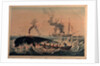 South Sea whale fishery by Ambroise Louis Garneray
