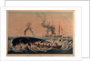 South Sea whale fishery by Ambroise Louis Garneray
