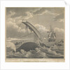Frontispiece to 'Account of the Arctic Regions' by W Scoresby: Dangers of the Whale Fishery by William Horne Lizars