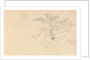 Study of a dog wearing collar and of tree branches by John Christian Schetky