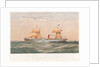 Royal Mail steam ship 'Taymouth Castle' by Thomas Goldsworth Dutton