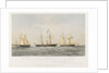 SS 'Guardiana', SS 'Tejo', SS 'Faro' by Thomas Goldsworth Dutton