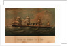 Screw steamer 'Dora Tully' by W.T. Baldwin
