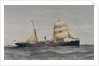 Cape and Natal Line SS 'Majuba' or 'Elmina' by Thomas Goldsworth Dutton