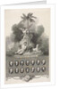 Victors of the Nile by Robert Smirke