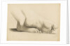 Study of a pair of feet crossed at the ankles by Margaret Louisa Herschel