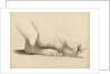 Study of a pair of feet crossed at the ankles by Margaret Louisa Herschel