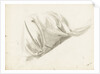 Study of the folds of a lady's skirt by Margaret Louisa Herschel