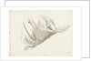 Study of the folds of a lady's skirt by Margaret Louisa Herschel