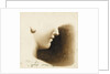 Study of the nose, mouth and chin of a human figure by Margaret Louisa Herschel